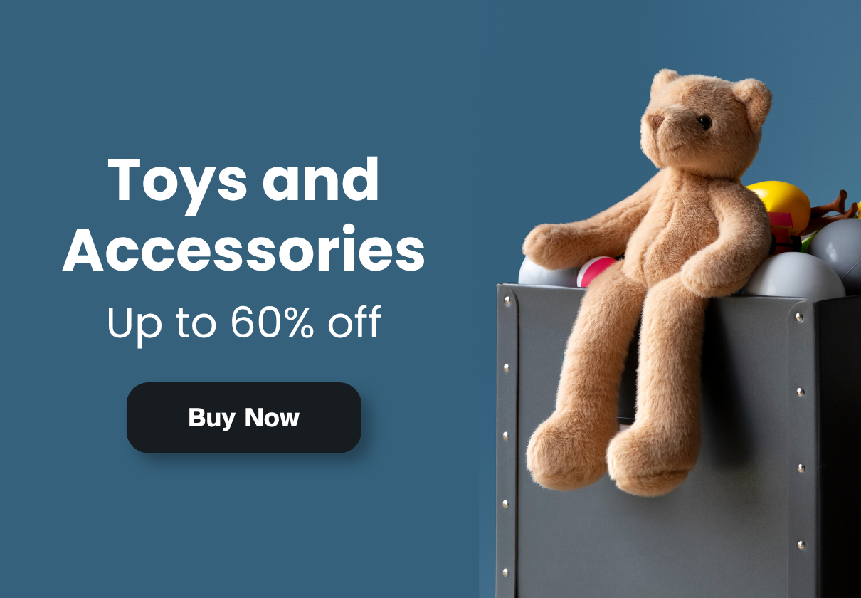 Shop Toys and Accessories